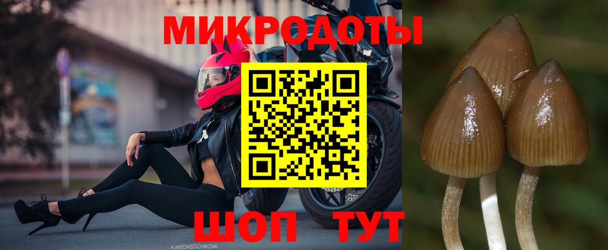 Моршанск  Галлюциногенные грибы GOLDEN TEACHER  Галлюциногенные грибы Psilocybe  Вход с VPN 